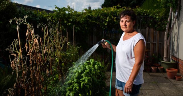 Le meilleur moment pour arroser en pleine canicule nʼest pas celui que vous croyez