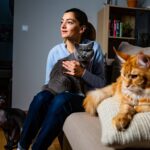 Les 6 races de chats les plus câlines : la première ne vous lâchera plus dʼune semelle
