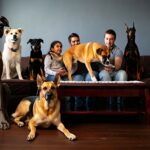 Les 6 races de chiens les plus protectrices sans jamais être agressives avec la famille