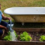 Pourquoi de plus en plus de jardiniers arrosent leurs plantes avec lʼeau du bain