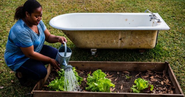 Pourquoi de plus en plus de jardiniers arrosent leurs plantes avec lʼeau du bain