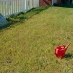 Pourquoi de plus en plus de jardiniers laissent volontairement leur pelouse jaunir cet été