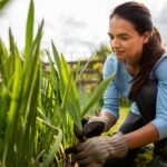 Pourquoi de plus en plus de jardiniers refusent désormais dʼarracher les orties de leur jardin