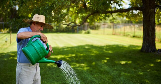 Tondre son gazon en pleine chaleur serait la pire erreur : ce que font les jardiniers avisés à la place