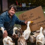 Un éleveur cesse son activité et propose plus de 400 canards à donner pour presque rien