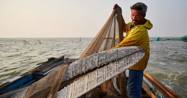 Un pêcheur remonte dans ses filets lʼos dʼune baleine préhistorique vieux de plusieurs millions dʼannées