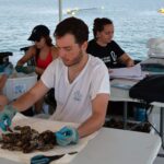 Les huîtres de la Mar Menor réussissent le premier test de l'été et donnent de l'espoir pour la récupération de la lagune