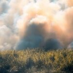 Les pompiers forestiers demandent de changer de modèle de lutte contre les incendies après la catastrophe estivale