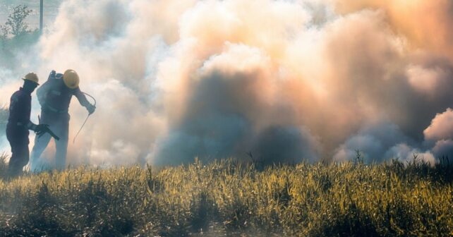 Los bomberos forestales piden cambiar el modelo contra los incendios tras el desastre del verano