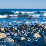 La Méditerranée est confrontée à son plus grand défi environnemental entre plastiques, chaleur extrême et perte de biodiversité