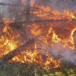 Incendies de forêts en Espagne : alerte maximale aujourd'hui pour trois fronts majeurs, 10 août 2026
