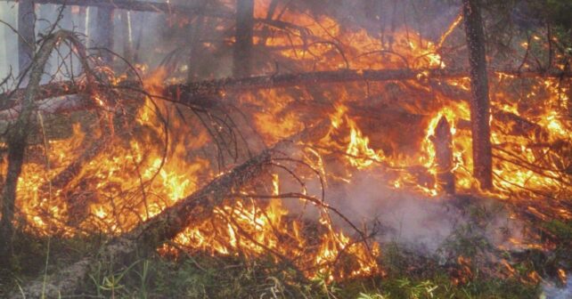 Incendios forestales en España: alerta máxima hoy ante tres grandes frentes, 10 de agosto de 2026