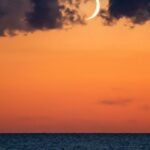 L'éclipse solaire va changer le comportement des animaux marins en Méditerranée