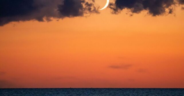 El eclipse solar cambiará el comportamiento de los animales marinos en pleno Mediterráneo