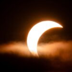L'éclipse solaire modifie le comportement des animaux