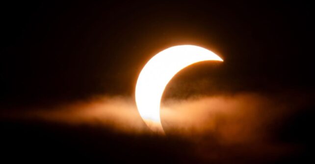 El eclipse solar altera el comportamiento de los animales