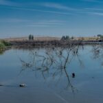 Las Tablas de Daimiel maintiennent 850 hectares inondés en été après leur grande récupération