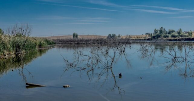 Las Tablas de Daimiel mantienen 850 hectáreas inundadas en verano tras su gran recuperación