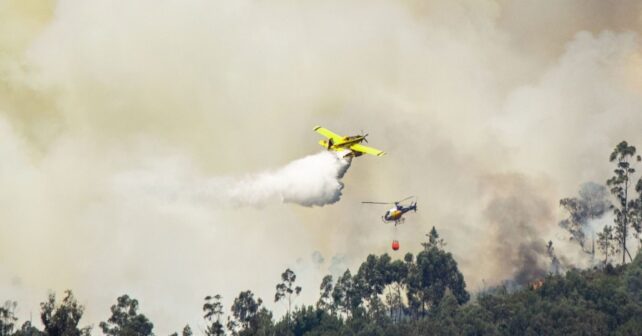 Los incendios forestales arrasan más de 240.000 hectáreas en España y dejan ya 42 grandes fuegos en 2026