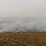 Journée mondiale de prévention des incendies de forêt 2026 : la clé pour sauver nos montagnes