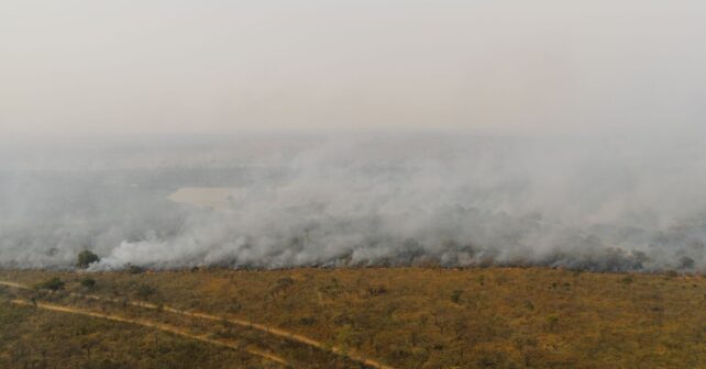 Día Mundial de la Prevención de Incendios Forestales 2026: la clave para salvar nuestros montes