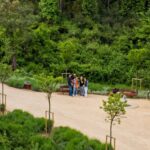La nature peut devenir une recette contre la solitude : une année entre deux parcs réduit l'isolement de 16,8 %