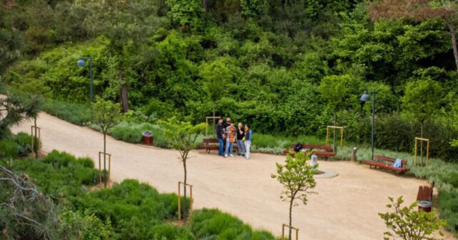 La naturaleza puede convertirse en una receta contra la soledad: un año entre parques reduce el aislamiento un 16,8 %