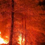 Incendies de forêt en Espagne aujourd'hui 21 août : 262 030 hectares brûlés et un pays qui veille encore sur les cendres