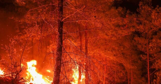 Incendios forestales en España hoy 21 de agosto: 262.030 hectáreas quemadas y un país que aún vigila las cenizas