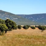 La gestion du Parc National de Cabañeros déclenche une rébellion dans les villages qui ont renoncé à leur territoire