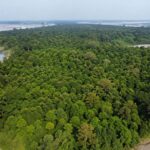 Il a planté un arbre chaque jour pendant 40 ans sur un banc de sable aride en Inde ; Aujourd'hui, c'est une forêt plus grande que Central Park et un refuge pour plus de 100 espèces