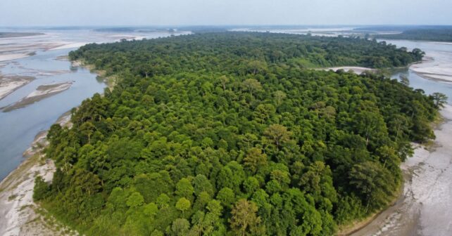 Plantó un árbol cada día durante 40 años en un banco de arena estéril de la India; hoy es un bosque más grande que Central Park y refugio de más de 100 especies