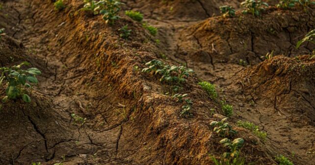 La erosión amenaza los suelos del planeta: el 81 % de las regiones analizadas suspende en su gestión