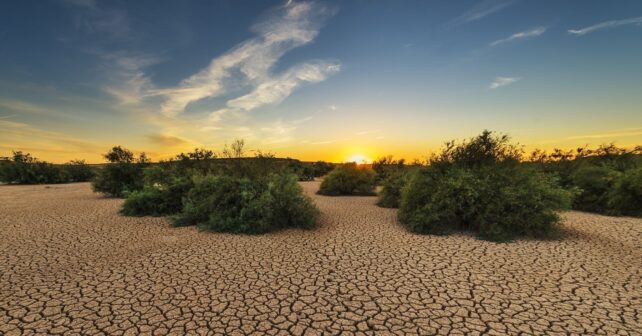La degradación de la tierra dispara una factura mundial de 878.000 millones: restaurarla puede devolver hasta 30 dólares por cada dólar invertido