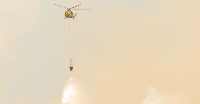 Los incendios en espacios naturales protegidos se disparan: casi 89.000 hectáreas han ardido en España en 2026