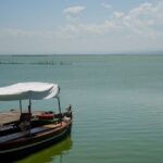 Tancat de la Pipa: 69 couples d'oiseaux confirment la récupération de ce refuge de l'Albufera après DANA