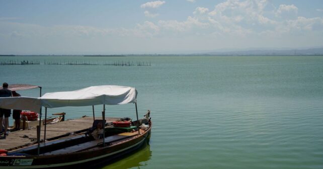 Tancat de la Pipa: 69 parejas de aves confirman la recuperación de este refugio de l’Albufera tras la DANA