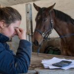 Combien coûte lʼentretien dʼun cheval sur une année entière : le total en dissuade beaucoup