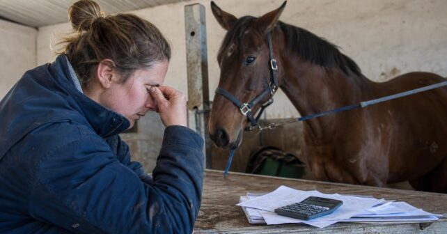 Combien coûte lʼentretien dʼun cheval sur une année entière : le total en dissuade beaucoup