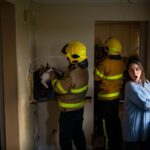 Elle entend un miaulement dans le mur de sa cuisine : ce que les pompiers en sortent la bouleverse