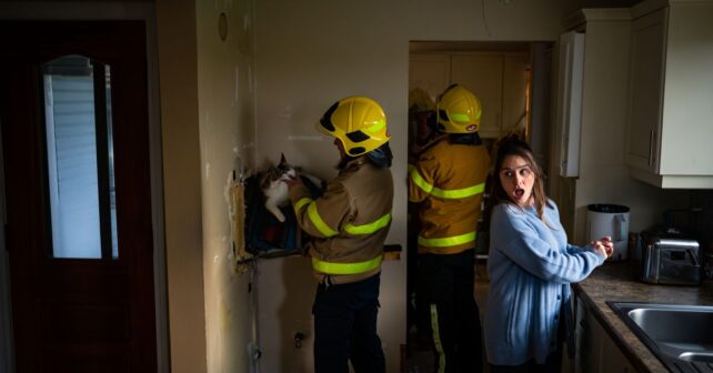 Elle entend un miaulement dans le mur de sa cuisine : ce que les pompiers en sortent la bouleverse