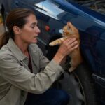 Elle recueille un chaton coincé dans un moteur : des mois plus tard le vétérinaire est formel