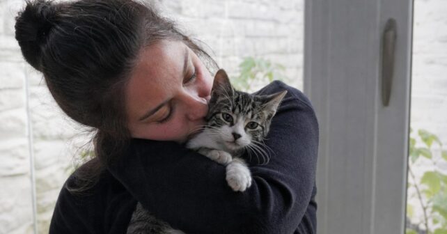 Elle recueille un chaton que tous les refuges avaient refusé : ce quʼil devient trois ans après