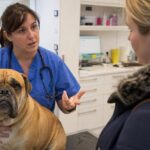 Je suis vétérinaire et je nʼadopterais jamais ces cinq races malgré leur immense succès