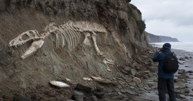 Le squelette dʼun reptile marin de dix mètres dégagé dʼune falaise par une tempête