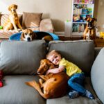 Les 6 chiens les plus adaptés aux familles avec de jeunes enfants