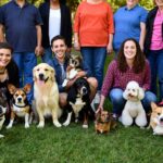 Les 8 races de chiens les plus faciles à vivre pour un tout premier maître