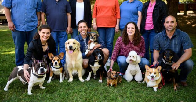 Les 8 races de chiens les plus faciles à vivre pour un tout premier maître