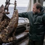 Un chalutier remonte une ancre couverte dʼune espèce que les scientifiques croyaient disparue