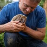 Un homme sauve un hérisson dans son jardin : lʼannée suivante lʼanimal revient accompagné